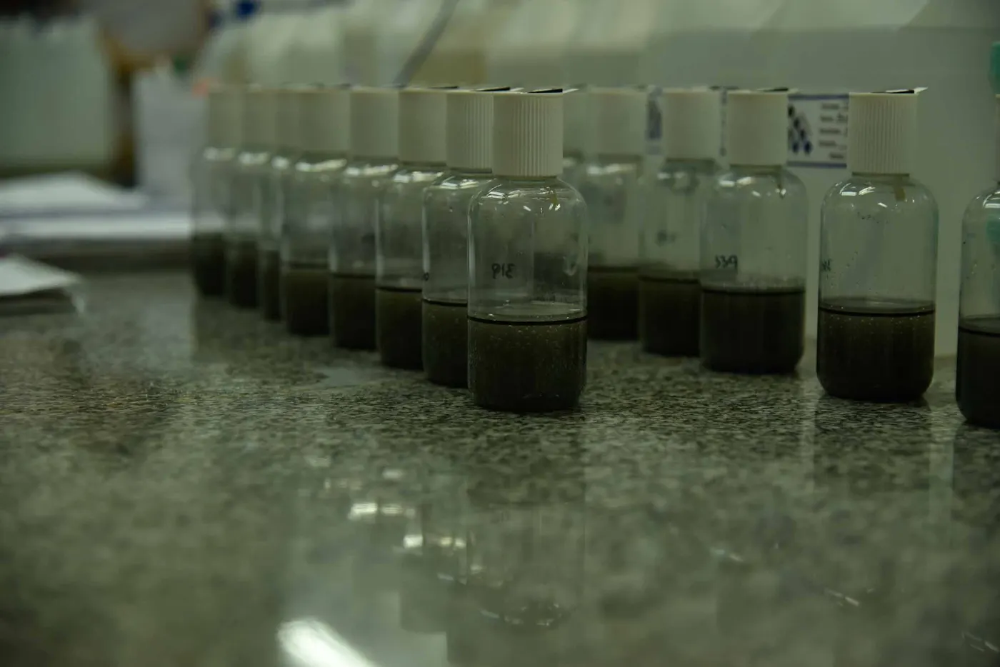 Frascos con muestras y sedimento en la mesada del laboratorio